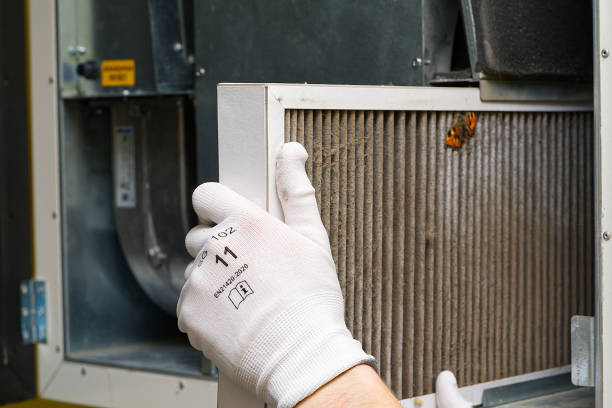 Best Air Quality Test  in Sarcoxie, MO