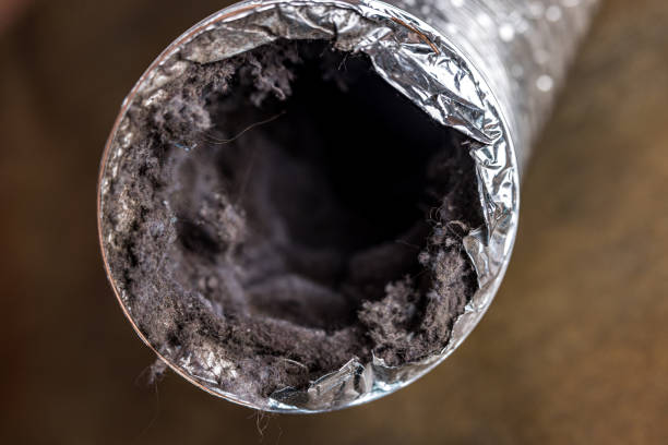 Best Duct Cleaning for Homes  in Sarcoxie, MO